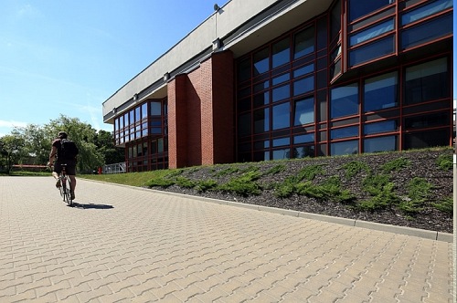 Polbruk TETKA z fazą, gr. 6 cm szara