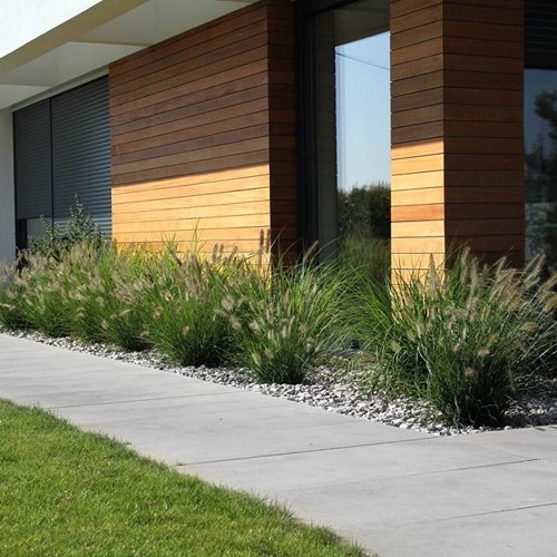 Jadar Megan gr. 7 cm Klasyczna