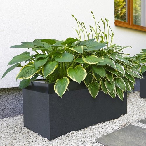 Jadar Donice Ogrodowe