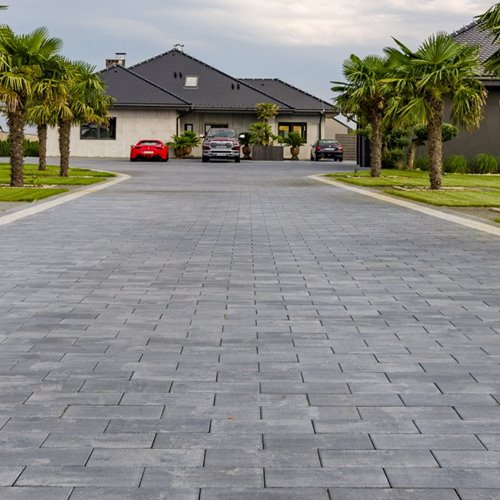 Kost-Bet DAKOTA gr. 6 cm standard