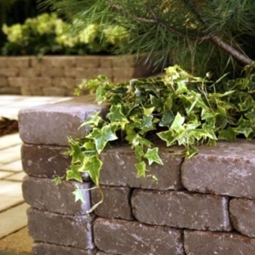 Libet NATULIT MASSIMO kolor, gr. 8 cm