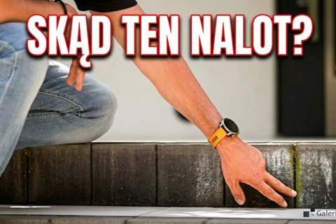 Ogrodzenie z nadrukiem marmuru i Visio z lakierem