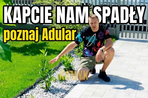 Polbruk Toledo adular kolor na 6