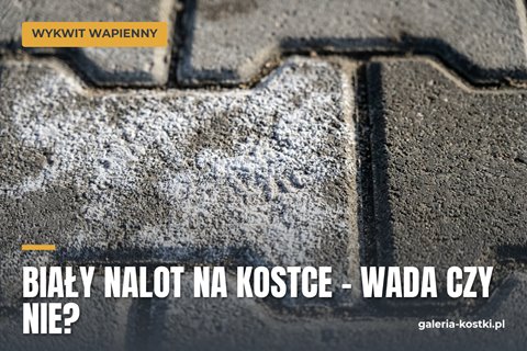 Biały nalot na kostce czy mogę reklamować 