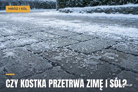 Czy kostka i płyty są odporne na mróz i sól 