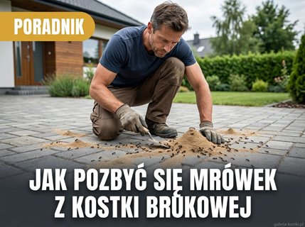 sprawdzony środek na mrówki