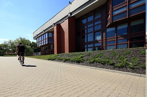 Polbruk TETKA z fazą, gr. 6 cm szara