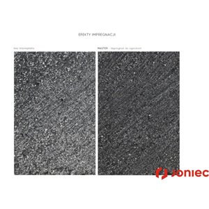 Joniec Impregnat do ogrodzeń MASTER