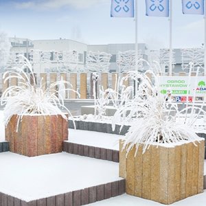 Jadar Palisada Łupana 12x12x27