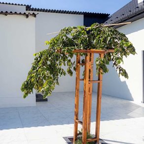 Kost-Bet MARMO gr. 5 cm Pro_Tech mikrofaza