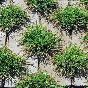 Jadar Meba gr. 10 cm szary